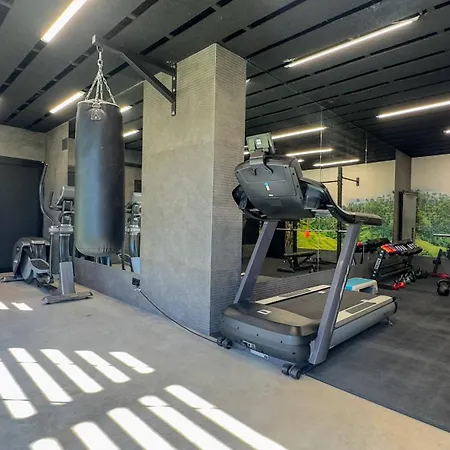 Bali 托雷维耶哈